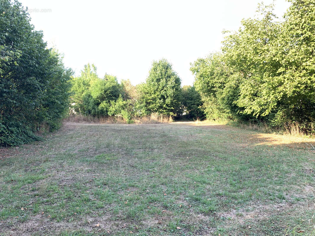 Terrain à SARREGUEMINES