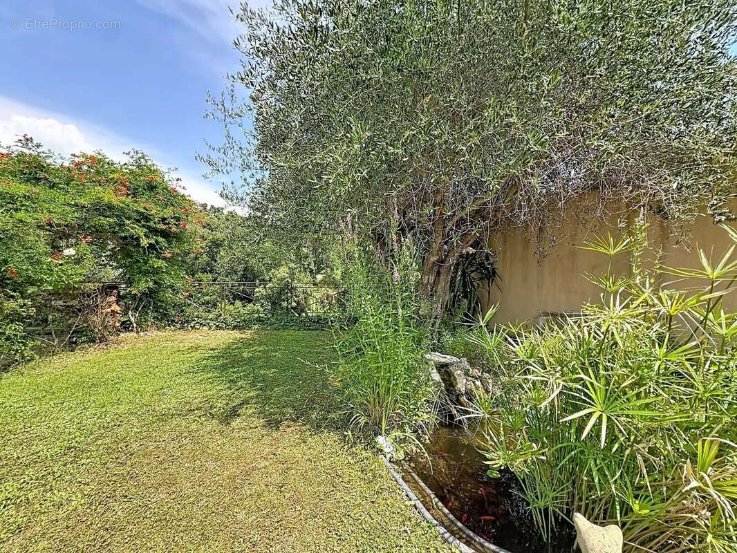Maison à SAINT-MARTIN-DU-VAR