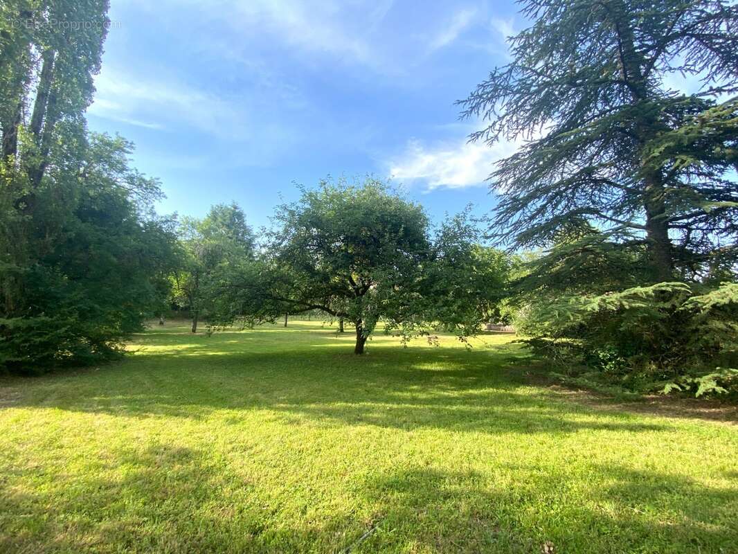 Terrain à vendre  proche de ESSERT - photo 2