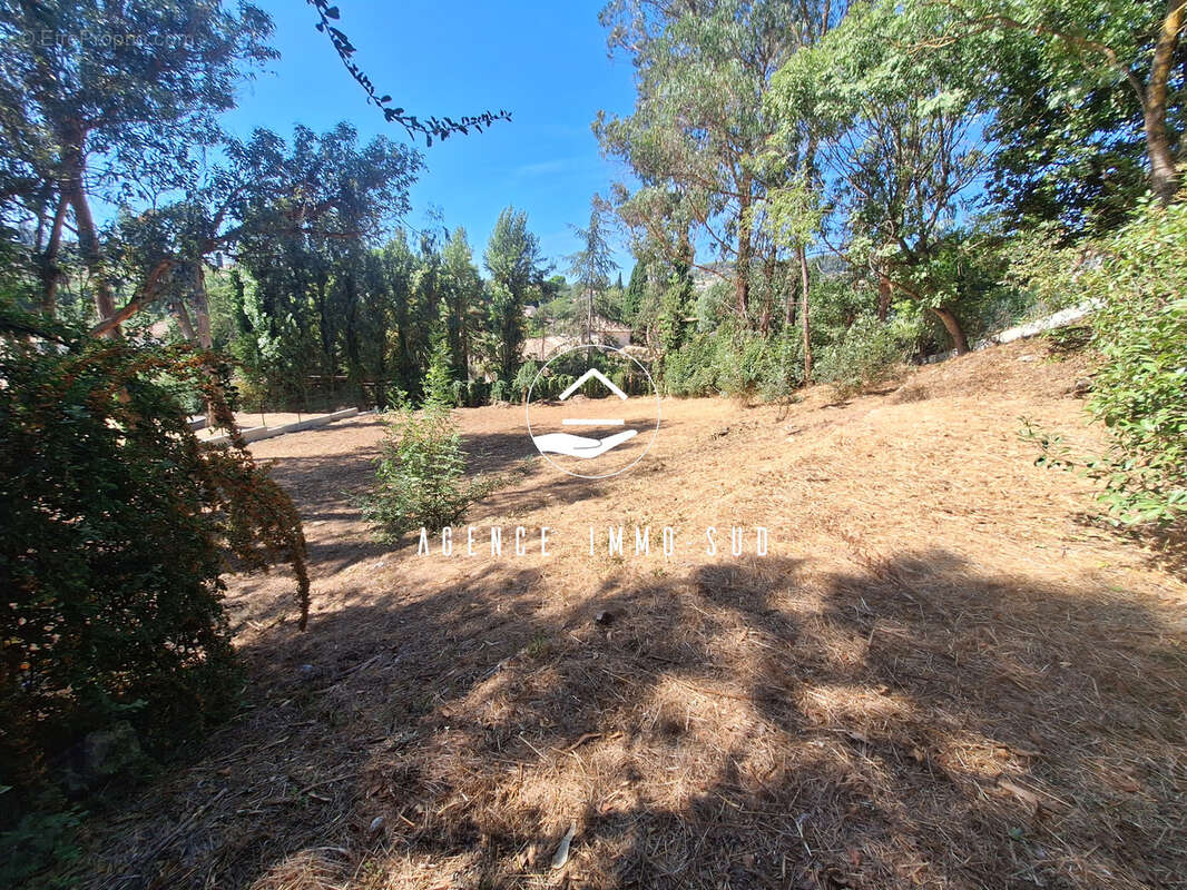 Terrain à SAINT-PAUL