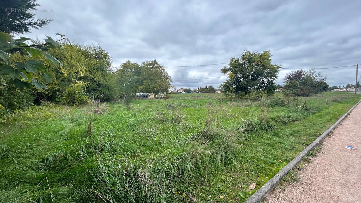 Terrain à LEZOUX