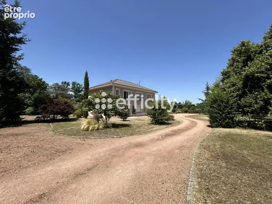Maison traditionnelle - photo 3
