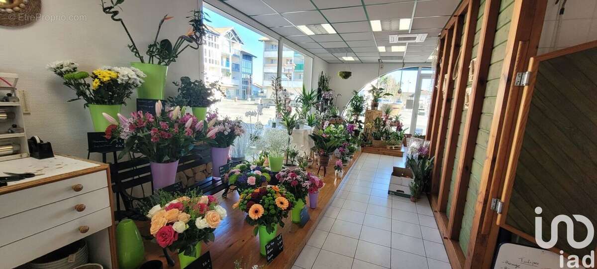 Photo 4 - Commerce à TARNOS