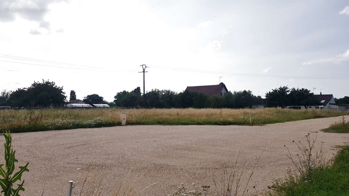Terrain à L&#039;ABERGEMENT-SAINTE-COLOMBE