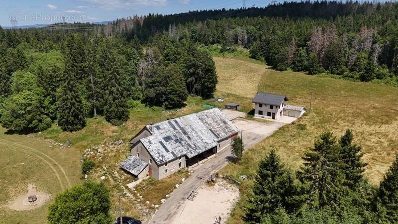 Maison à LE GRAND-ABERGEMENT