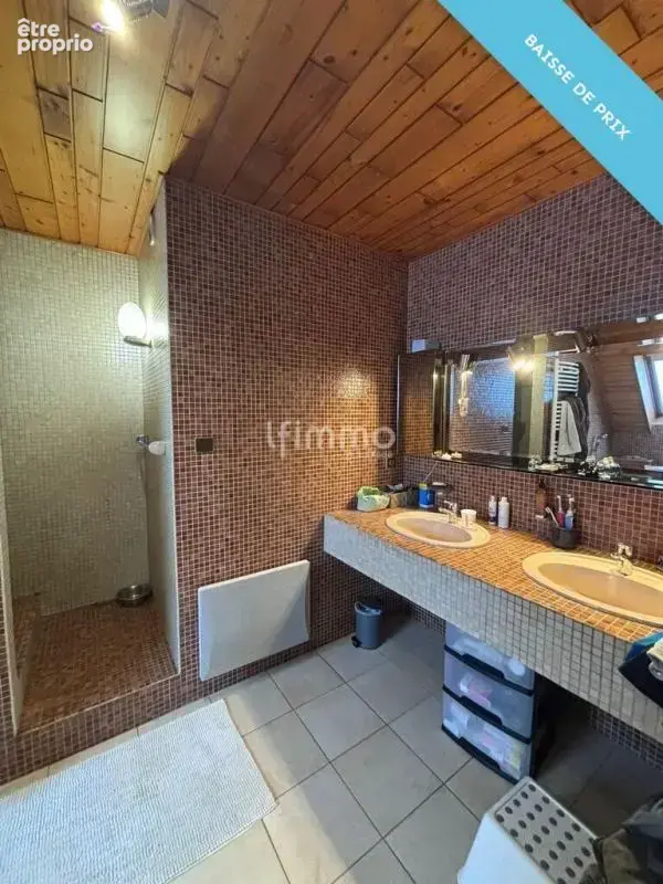 Ensemble Immobilier 11 pièces 285 m² - photo 8
