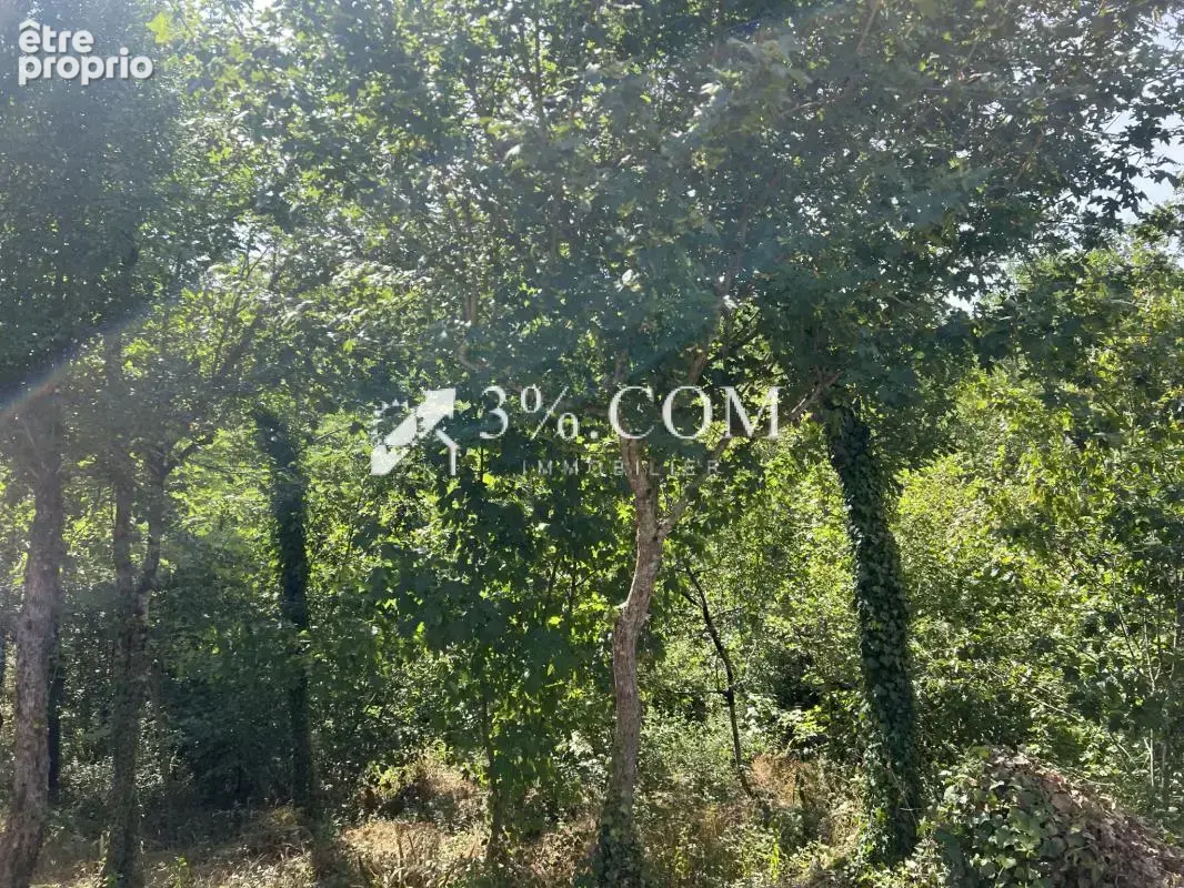 3%. com immobilier à bonnes - photo 16