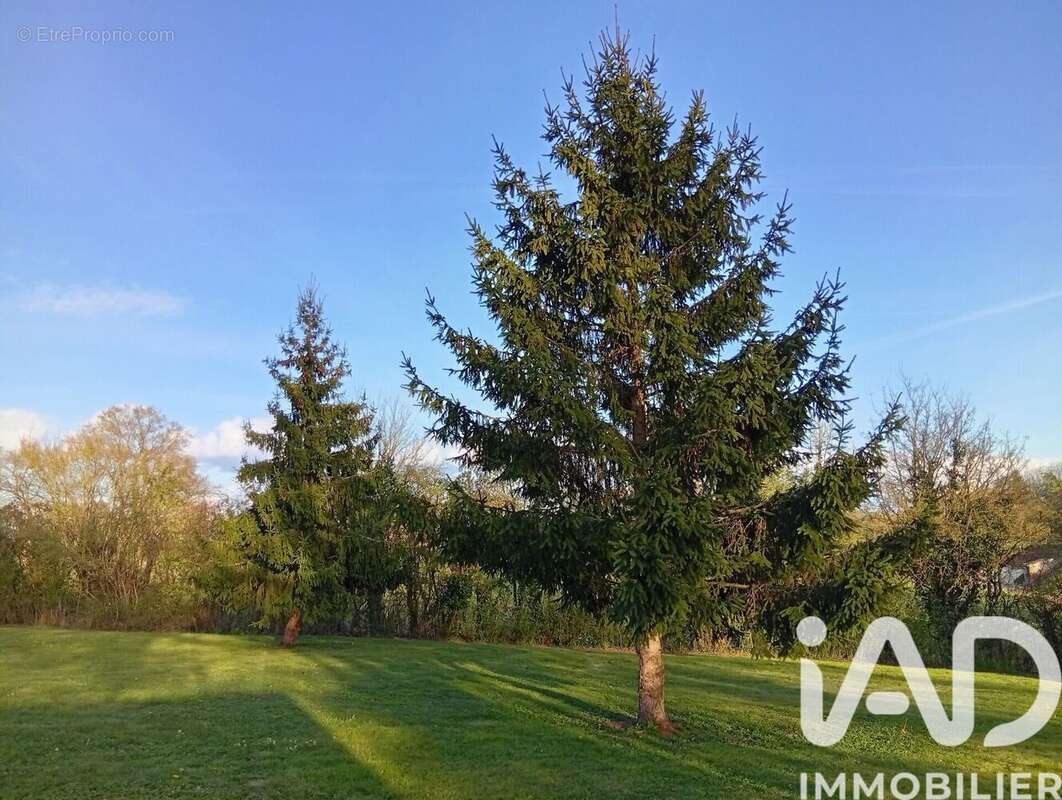 Photo 9 - Maison à PRUNAY-CASSEREAU