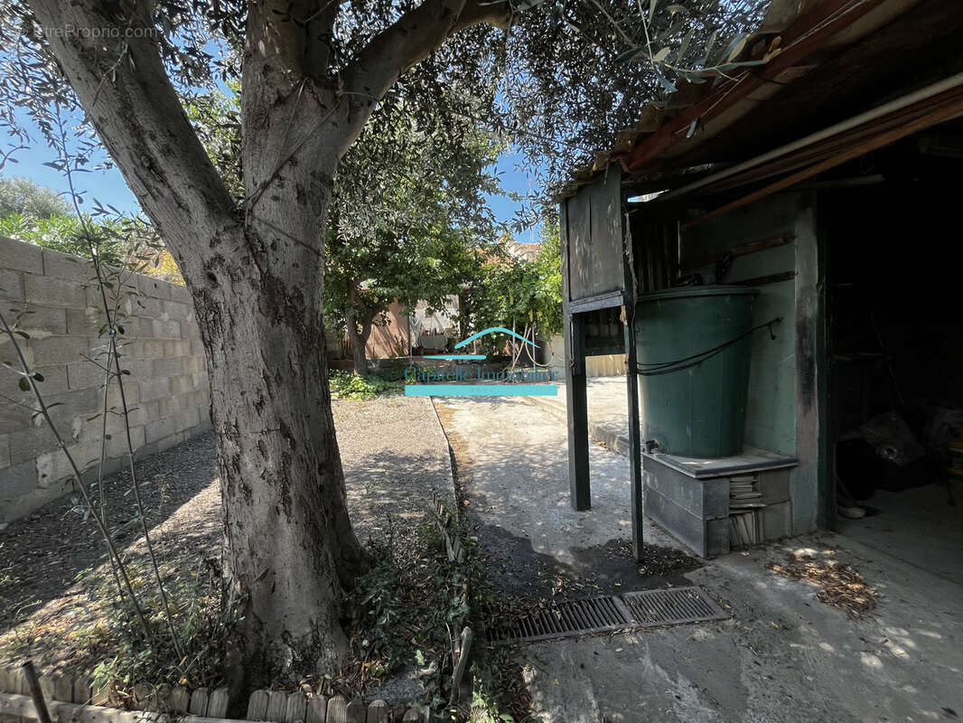 Frontignan la peyrade - maison mitoyenne de plain-pied avec terrain - photo 2