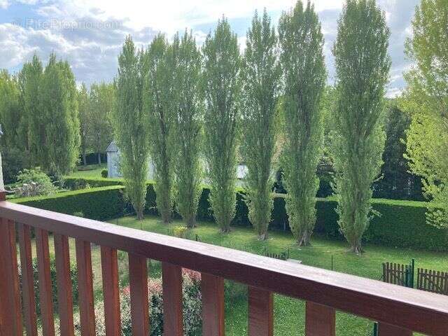 Appartement à CABOURG