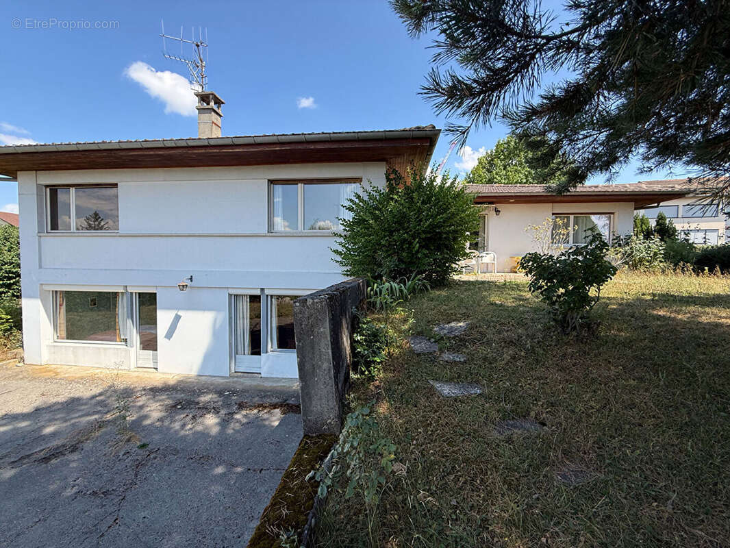 À vendre - Cranves-Sales - Maison d'architecte de 225 m² habitables sur 1 364 m² de terrain - photo 3