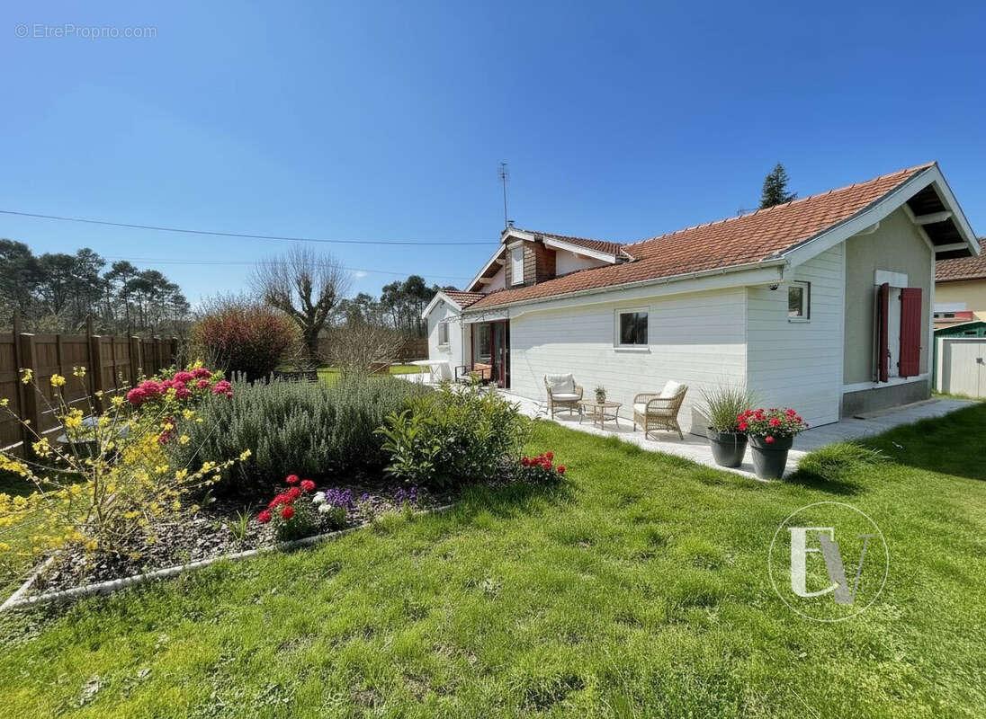 Maison à BELIN-BELIET