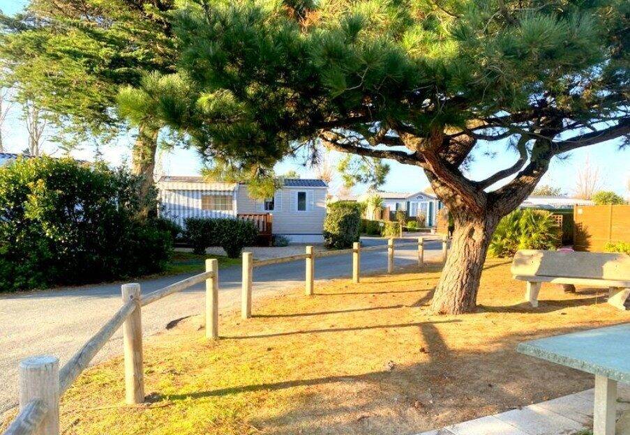 Terrain à SAINT-HILAIRE-DE-RIEZ