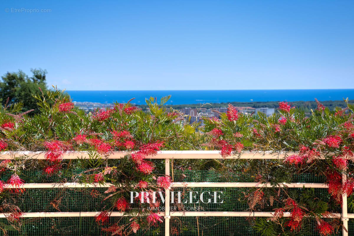 Appartement à MANDELIEU-LA-NAPOULE