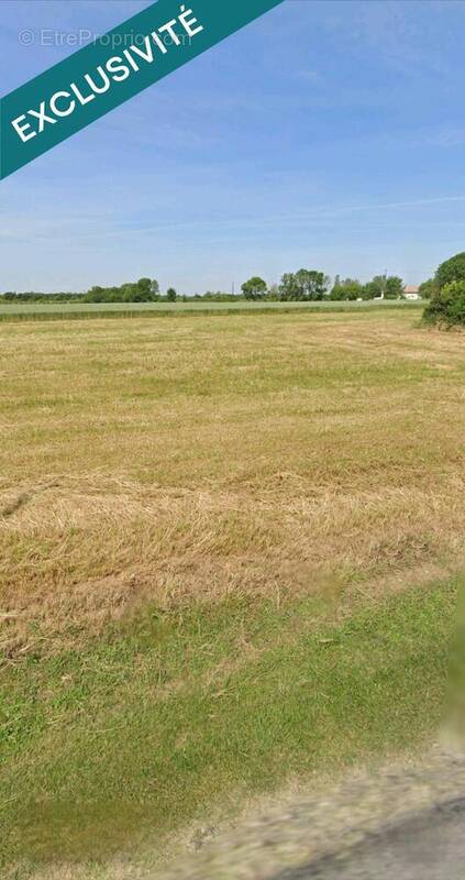 Photo 1 - Terrain à SAINT-ROMAIN-DE-BENET