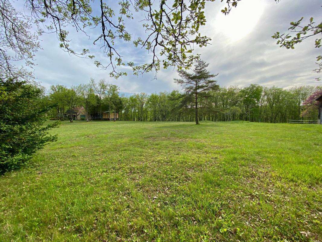 Terrain à MAUZAC-ET-GRAND-CASTANG