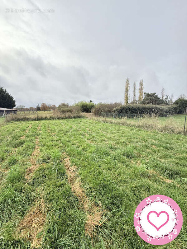 Maison à VILLEMURLIN