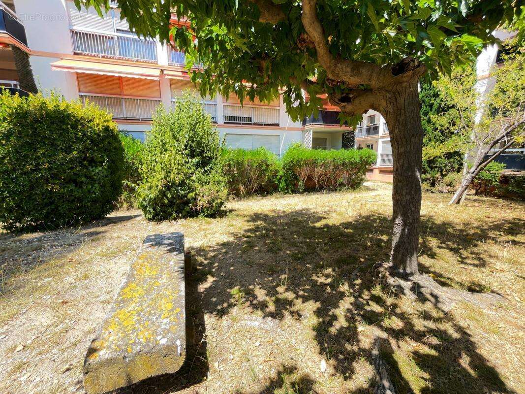 Appartement - photo 9