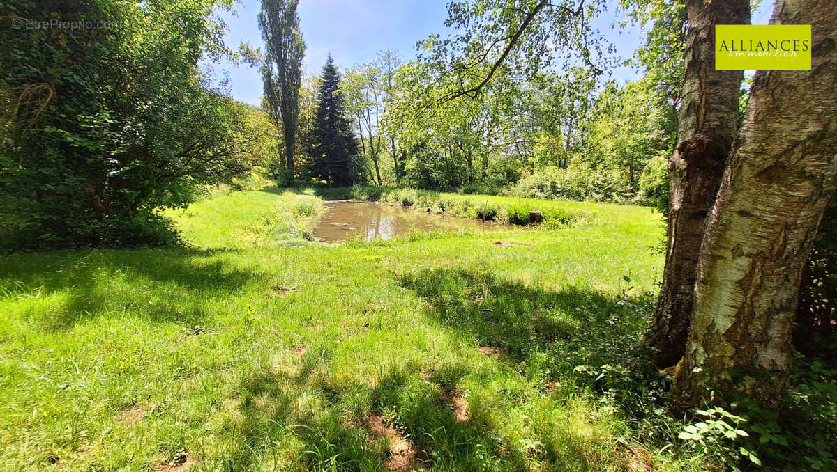 Autre à SAINT-ULRICH