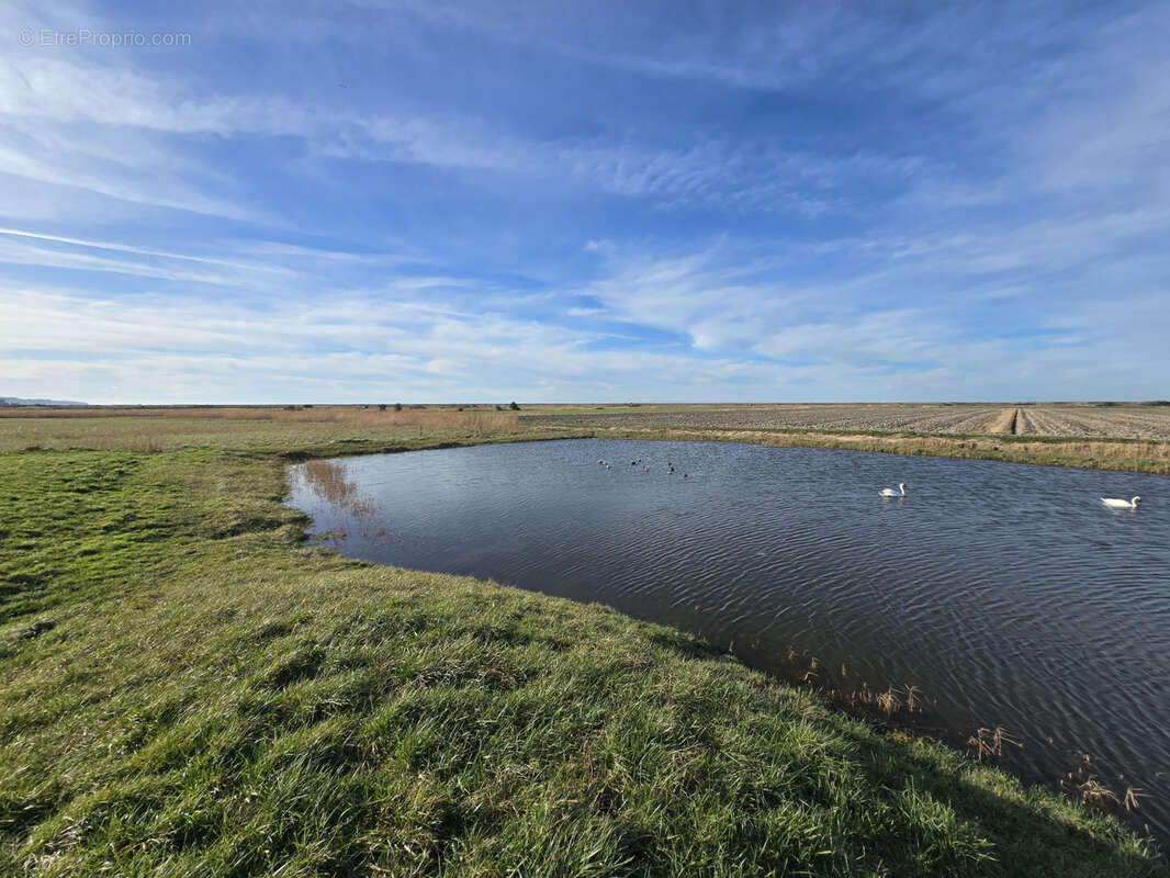 Terrain à WOIGNARUE
