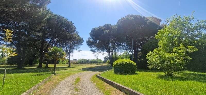Maison à vendre 8 pièces SAINTE CHRISTIE D'ARMAGNAC (32) - photo 21