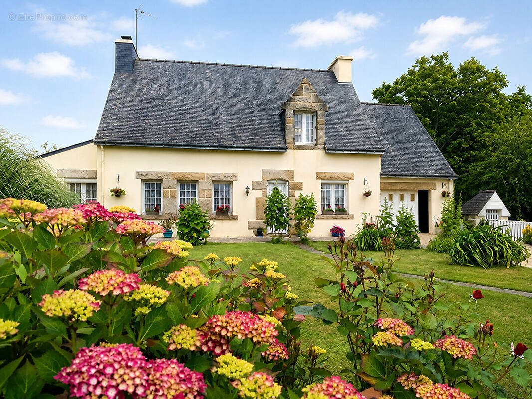 Maison à PLUMIEUX