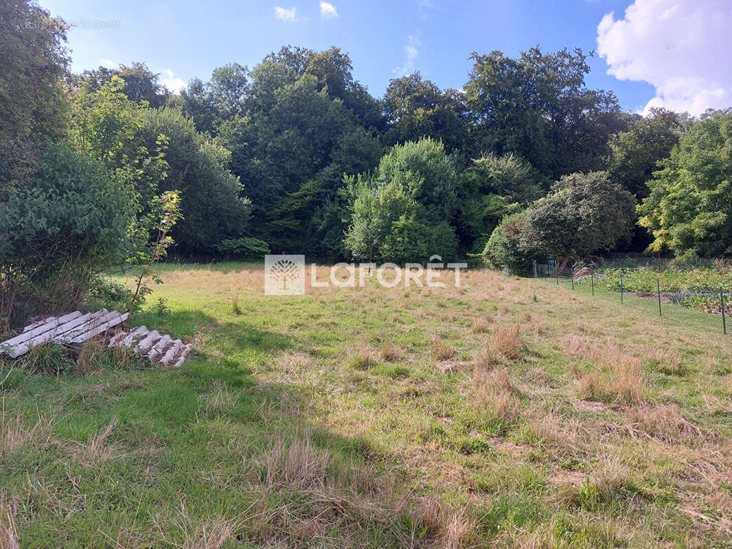 Maison Tilly Capelle 4 pièce(s) 68 m2 - photo 2
