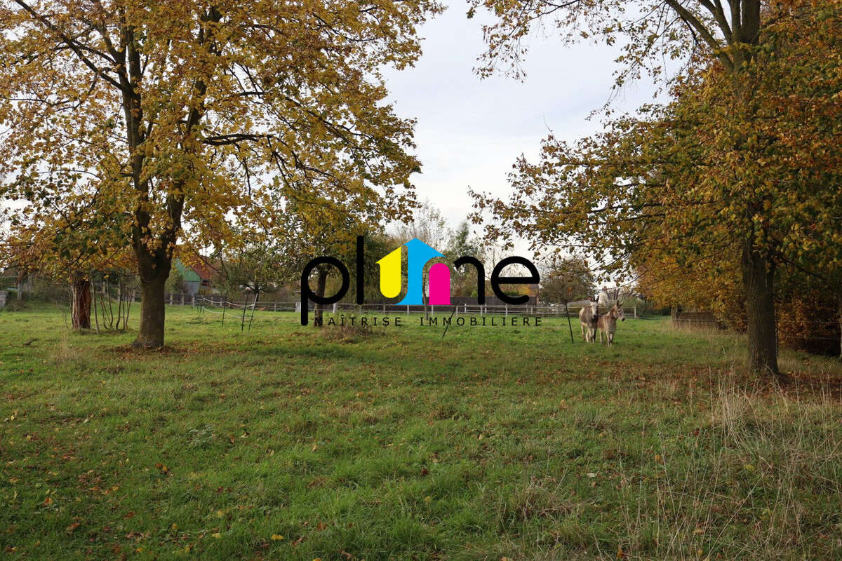 Terrain à HAUTEVILLE