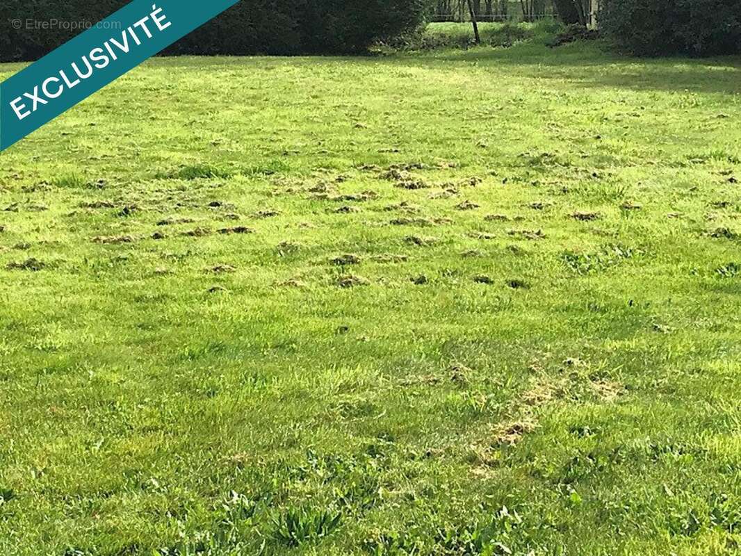 Photo 2 - Terrain à SAUTRON