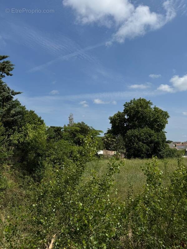 Terrain à SAINT-GENIES-DES-MOURGUES