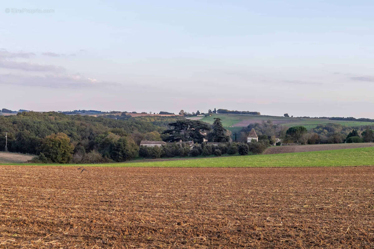 Maison à Beauville  - photo 26