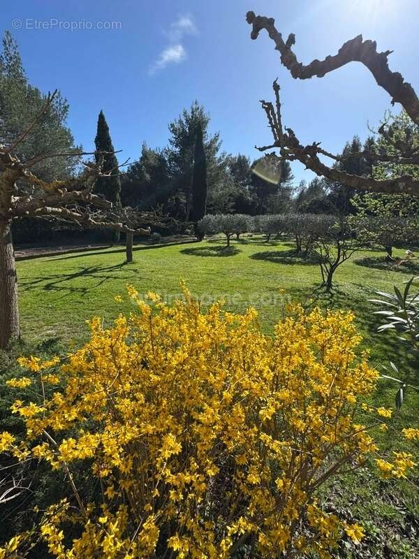 Maison à EYGALIERES