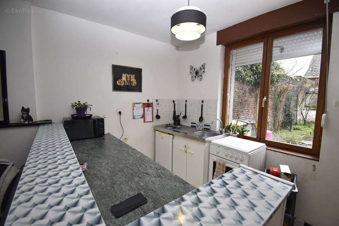 Maison 44 m² à Solesmes  - photo 8