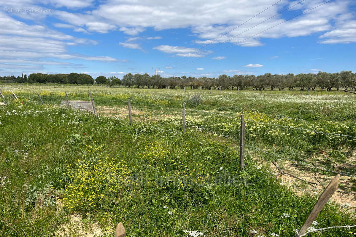 Terrain à MARSILLARGUES