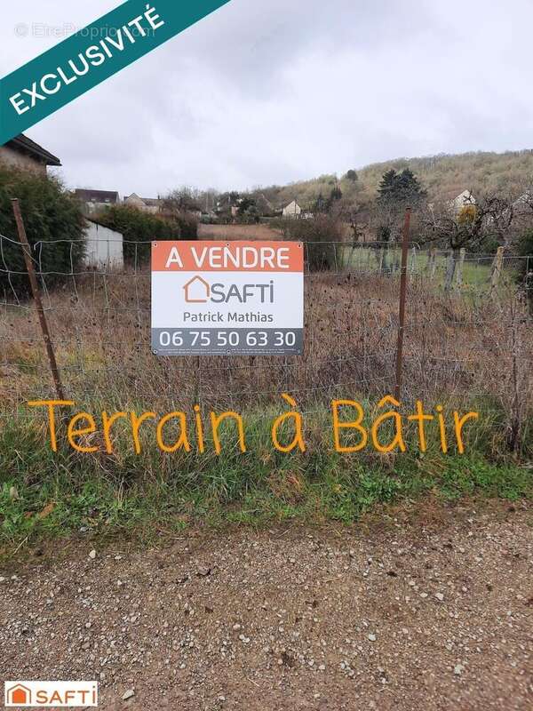 Terrain 2446 m² à Saint-Aubin-Sur-Yonne  - photo 2