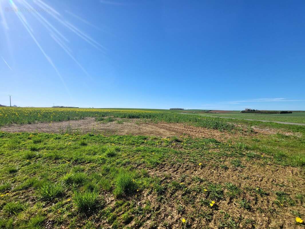 Terrain à PIERREPONT