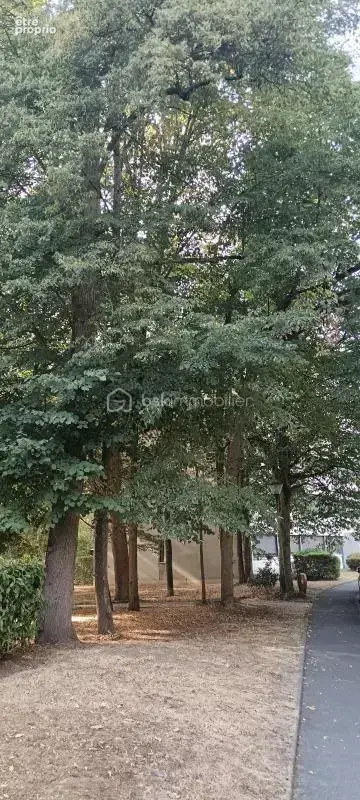Appartement lumineux de 4 chambres avec vue sur la nature - photo 27