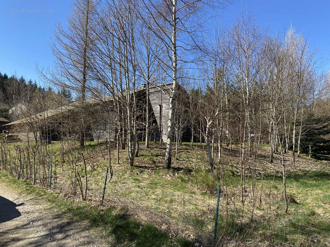 Maison à LE CHAMBON-SUR-LIGNON