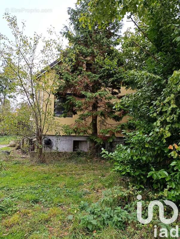 Photo 3 - Maison à NANGIS