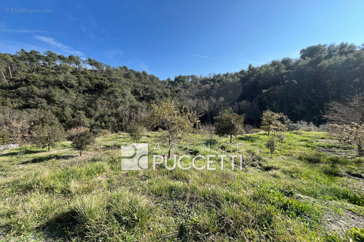 Terrain à VENCE