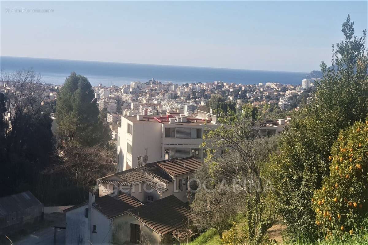 Terrain à LE CANNET