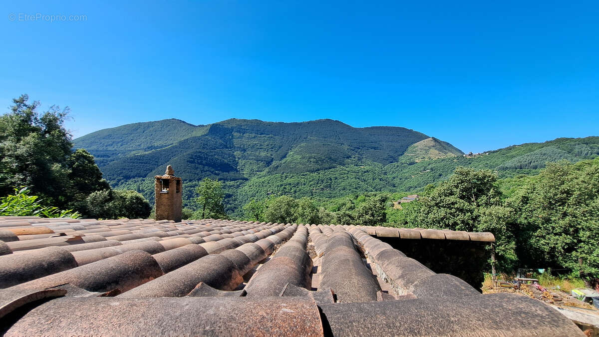 Autre à SAINT-ROMAN-DE-CODIERES