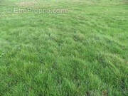 Terrain à SAINTRY-SUR-SEINE