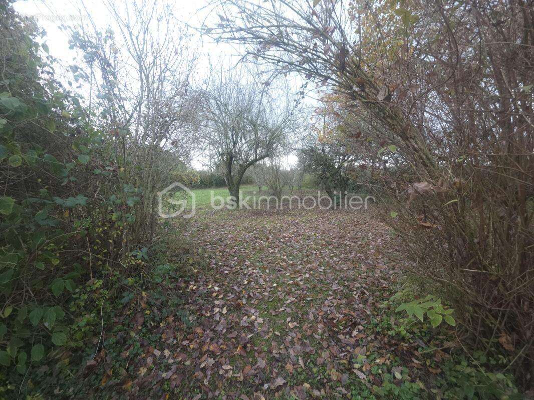 Maison à COURTEMAUX