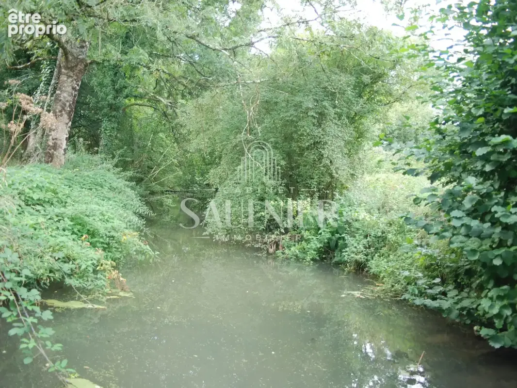 Entre Montrichard et Blois, petit domaine agricole. - photo 10