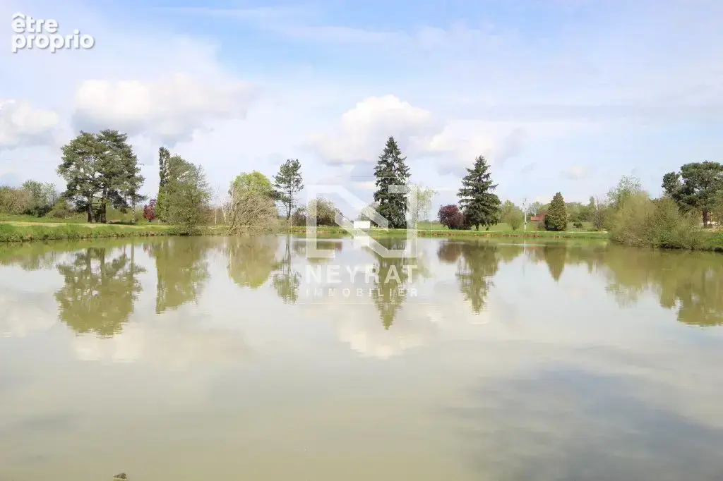 Etang avec sources - photo 6