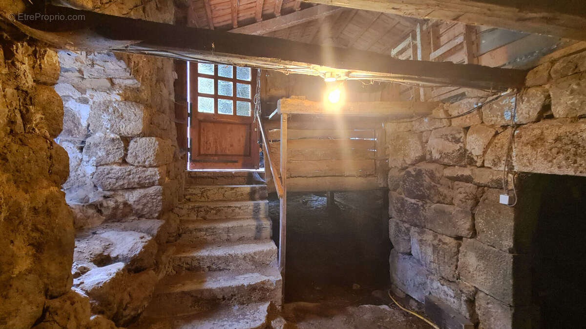Corps de ferme traditionnel en Pierre Saint Pal De Mons 8 pièces 220 m2 - photo 13