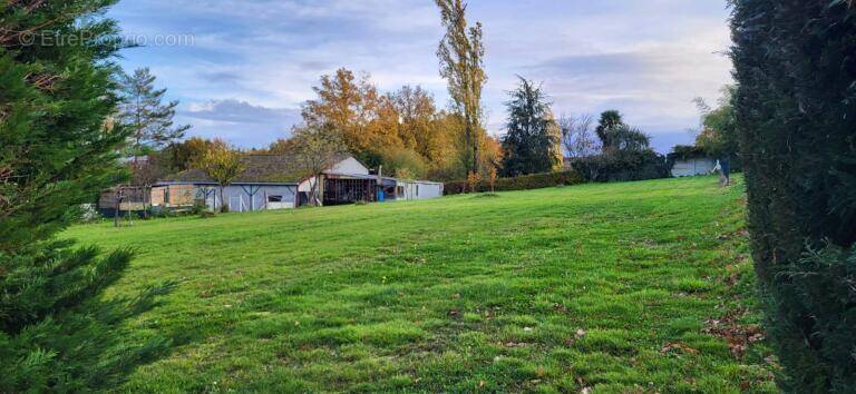 Terrain à PARAY-SOUS-BRIAILLES