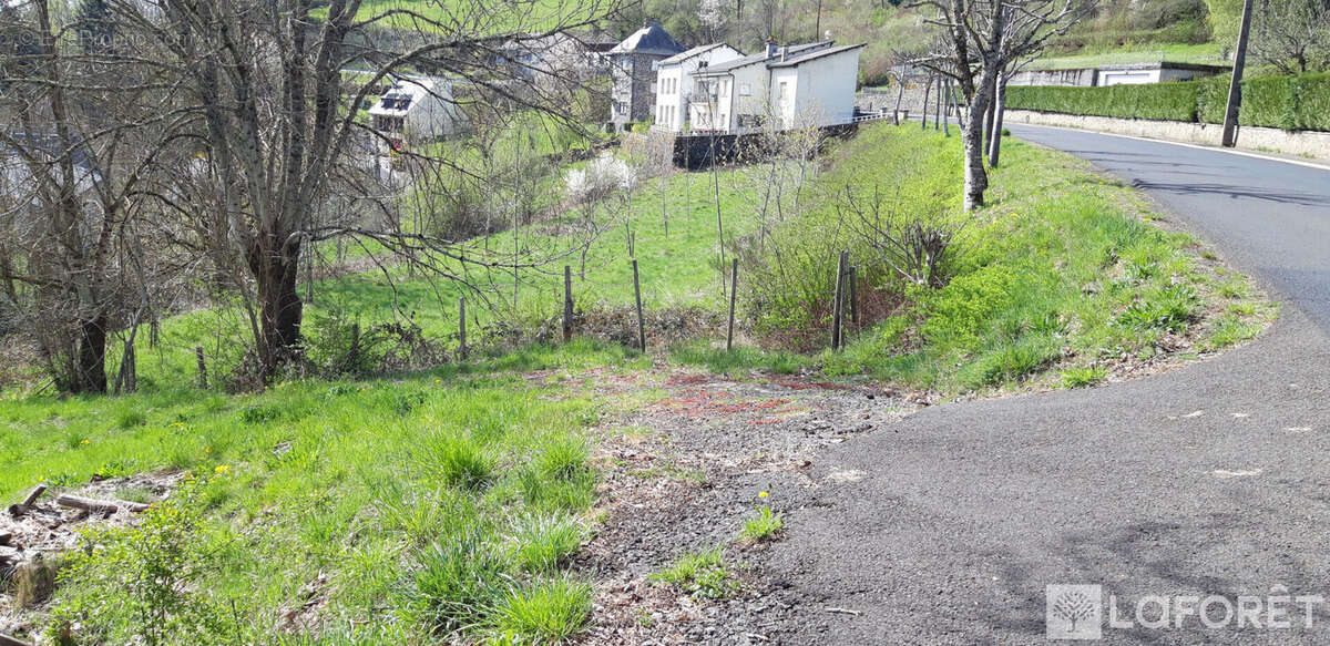 Terrain constructible 4628 m² à PIERREFORT - photo 3