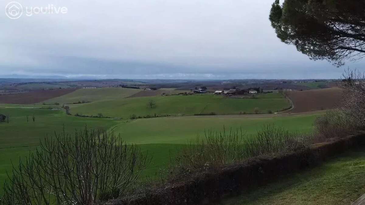 Terrain à SAUVETERRE